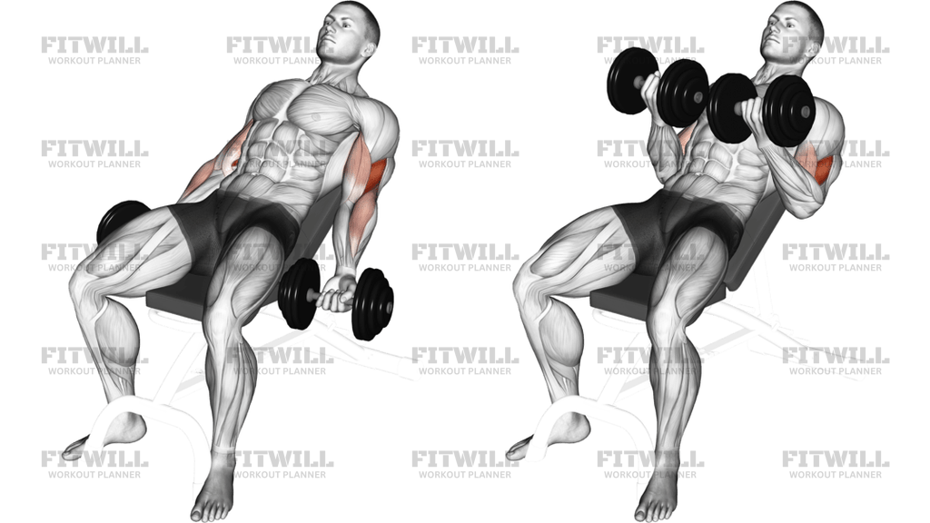 Dumbbell Incline Curl Version 2