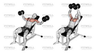 Dumbbell Incline Fly