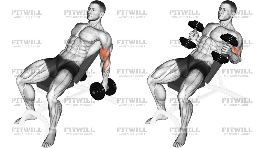 Dumbbell Incline Hammer Curl