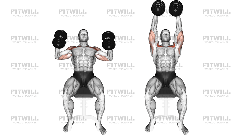 Dumbbell Incline Hammer Press
