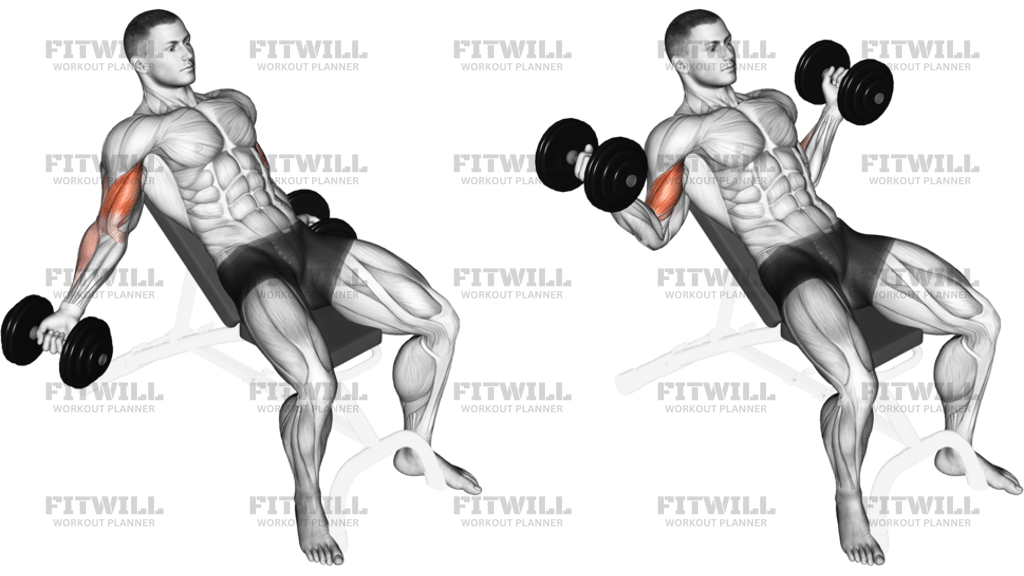 Dumbbell Incline Inner Biceps Curl