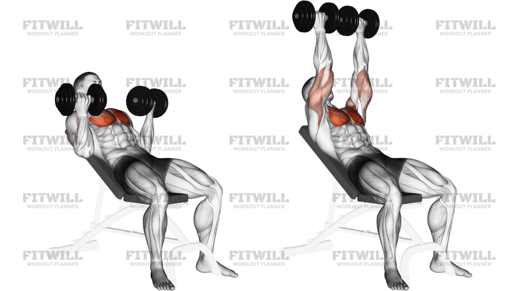 Dumbbell Incline Palm-In Press