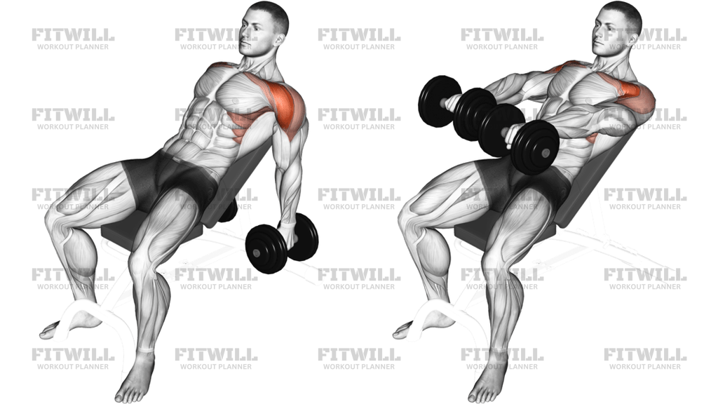 Dumbbell Incline Raise