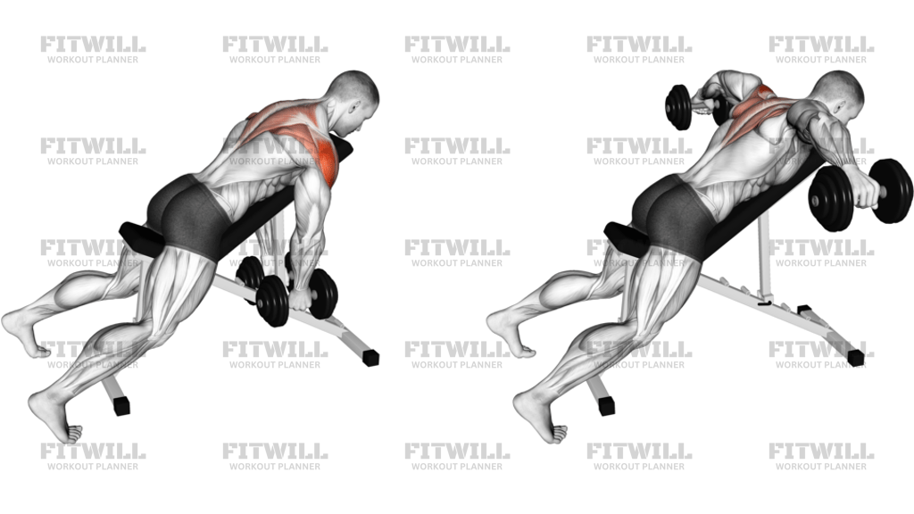 Dumbbell Incline Rear Lateral Raise