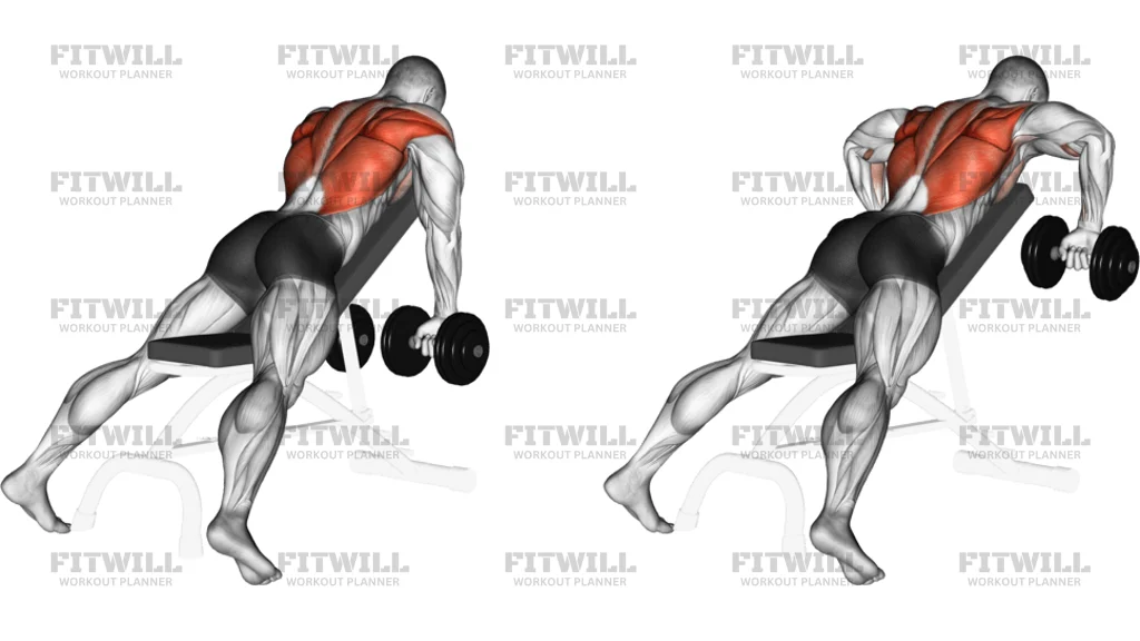 Dumbbell Incline Row