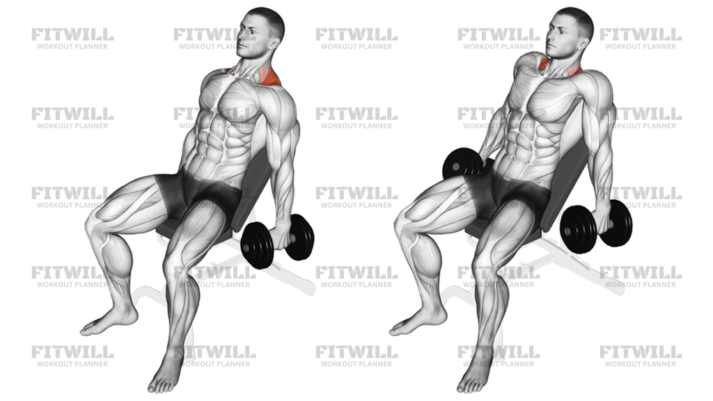 Dumbbell Incline Shrug