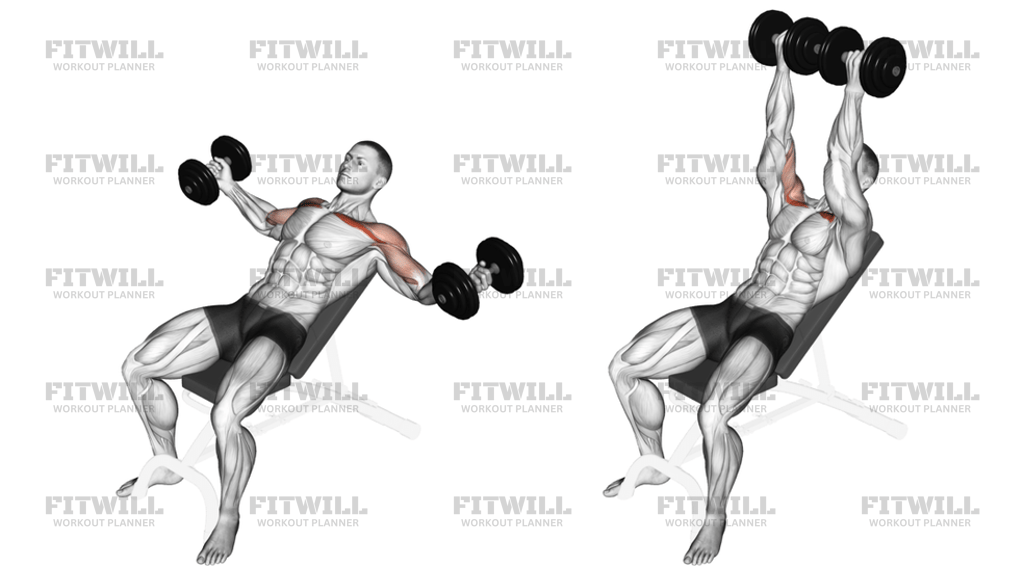 Dumbbell Incline Twisted Flyes