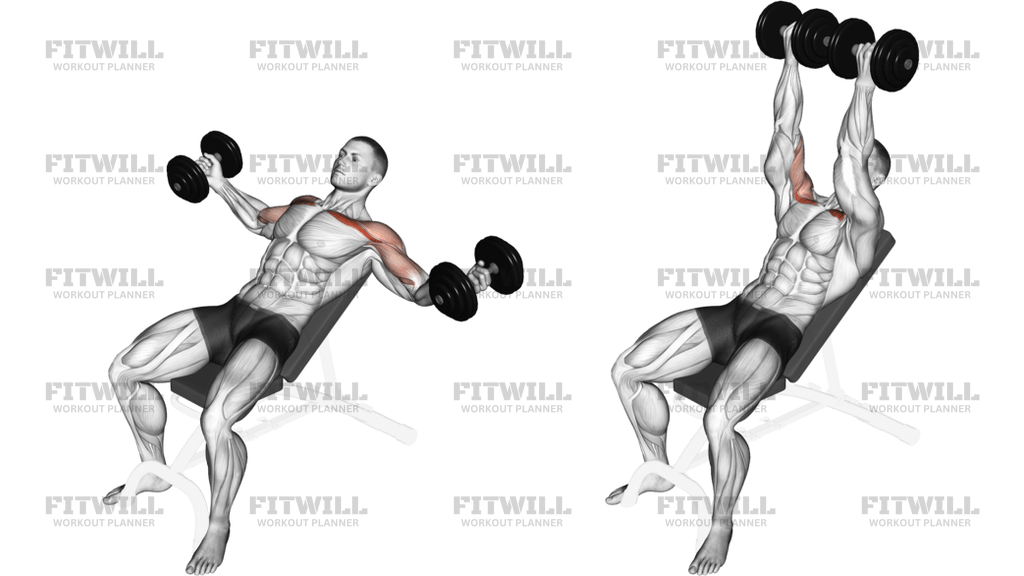 Dumbbell Incline Twisted Flyes
