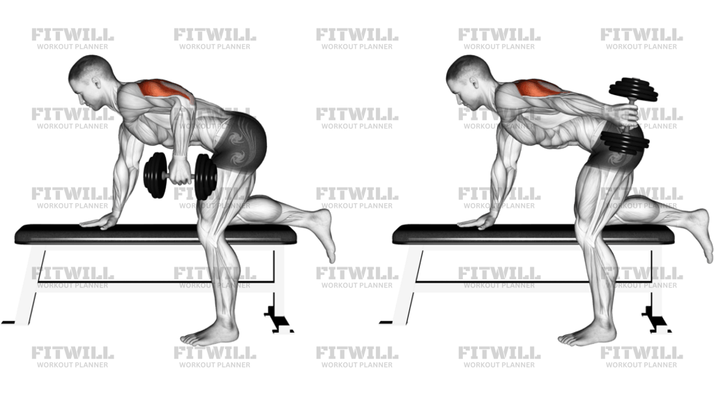 Dumbbell Kickback