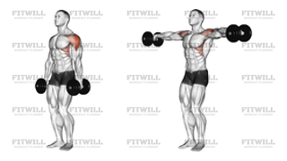 Dumbbell Lateral Raise