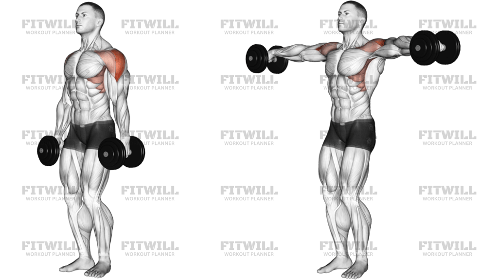 Dumbbell Lateral Raise