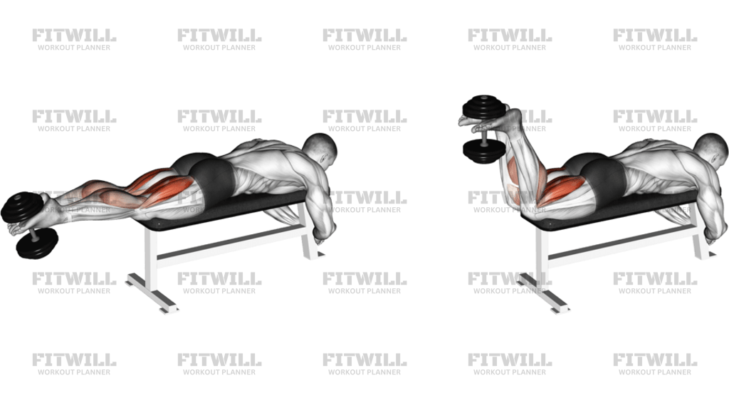 Dumbbell Lying Femoral