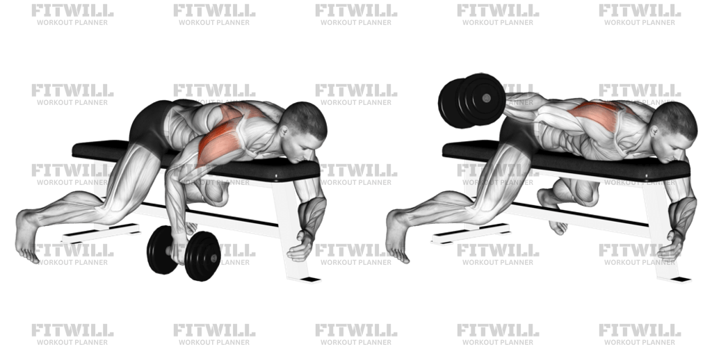 Dumbbell Lying One Arm Rear Lateral Raise Exercise Video Fitwill