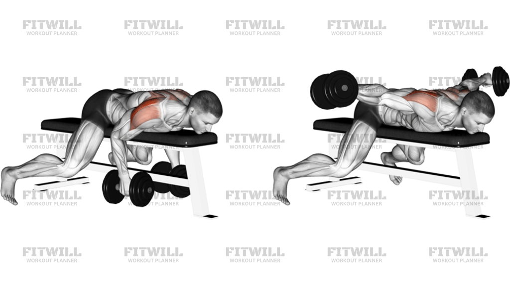 Dumbbell Lying Rear Lateral Raise