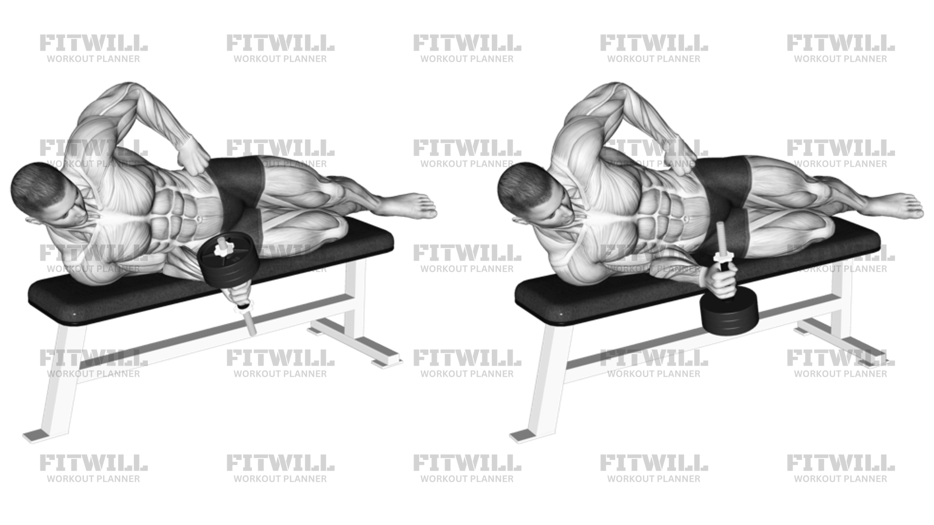 Dumbbell Lying Supination Exercise Guide Techniques Benefits How to Muscles Worked Tips Tricks Fitwill