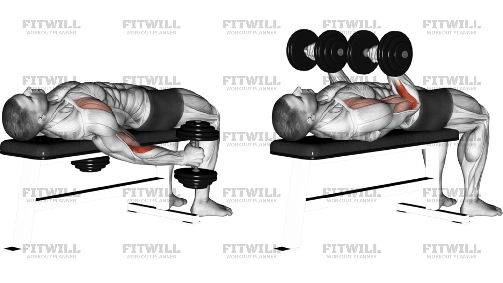 Dumbbell Lying Supine Curl