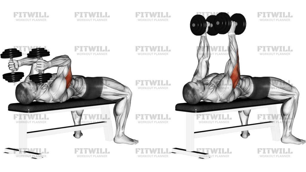Dumbbell Lying Triceps Extension