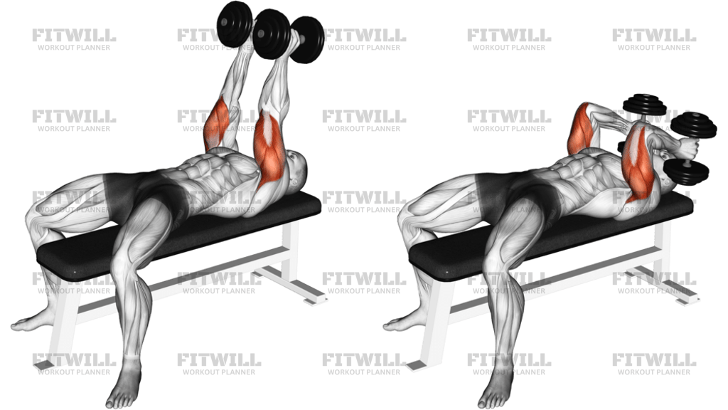 Dumbbell Lying Triceps Extension