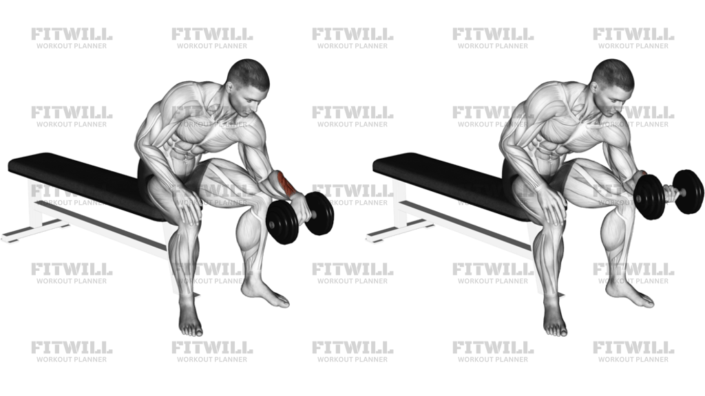 Dumbbell One-Arm Reverse Wrist Curl