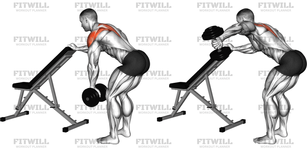 Dumbbell One Arm Reverse Fly (with support): Guide, Techniques ...