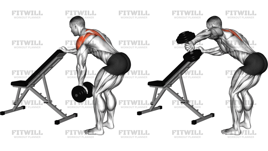 Dumbbell One-Arm Reverse Fly With Support