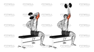 Dumbbell One-Arm Triceps Extension