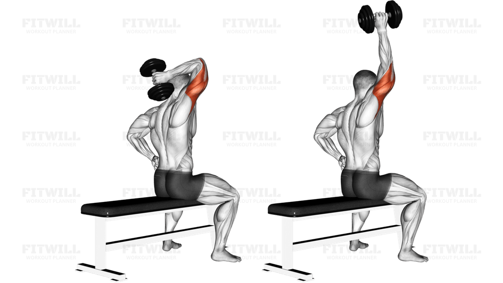 Dumbbell One Arm Triceps Extension (L)