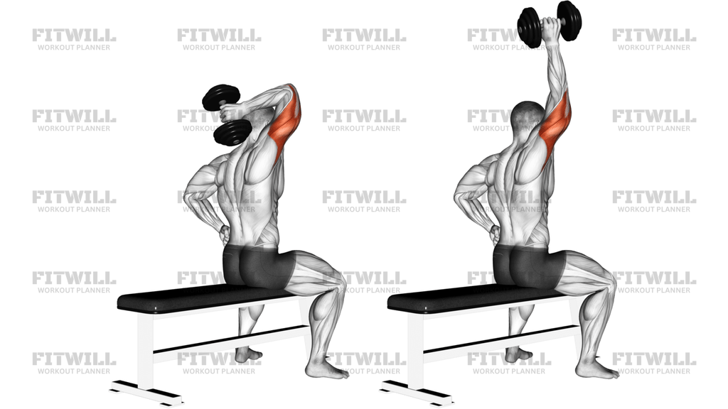 Dumbbell One-Arm Triceps Extension Left Side