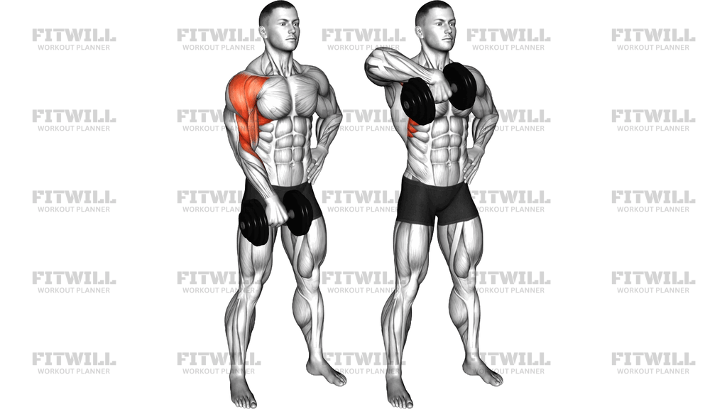 Dumbbell One-Arm Upright Row