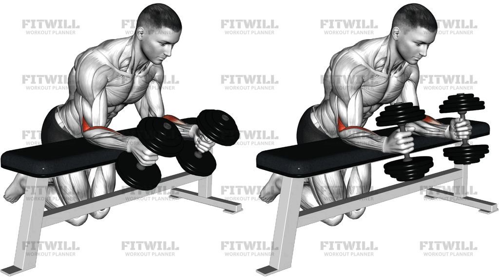 Dumbbell Over Bench Neutral Wrist Curl