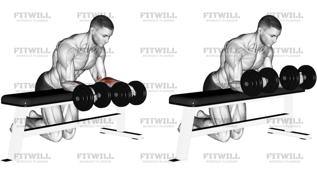 Dumbbell Over Bench Reverse Wrist Curl