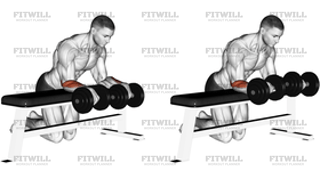 Dumbbell Over Bench Wrist Curl