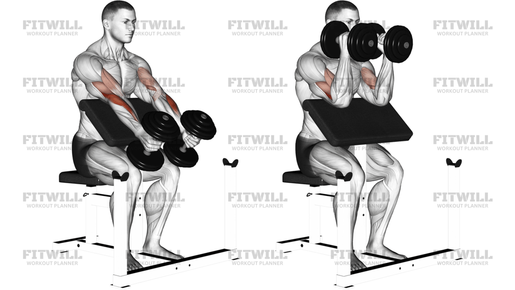 Dumbbell Peacher Hammer Curl