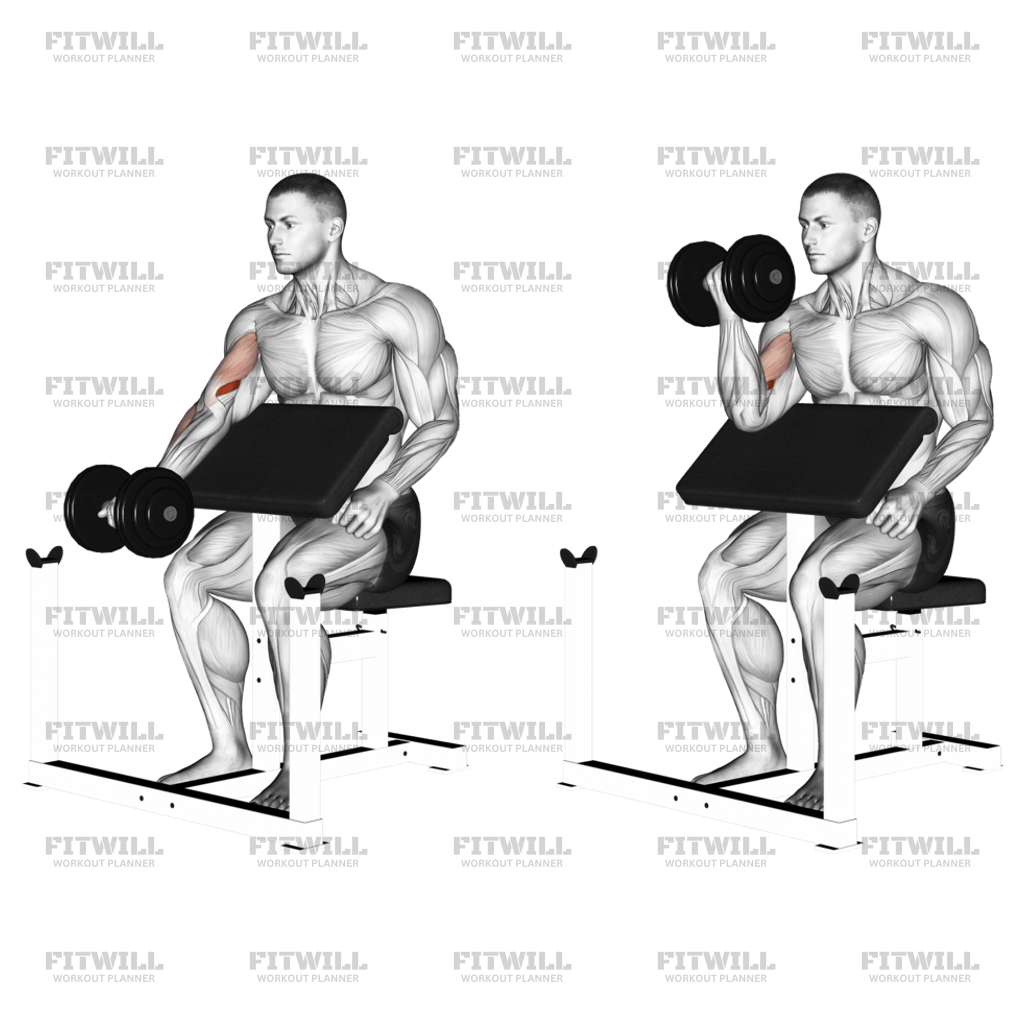 One Arm Dumbbell Preacher Curl Exercise Guide Video Techniques Benefits How to Muscles Worked Tips Tricks Fitwill