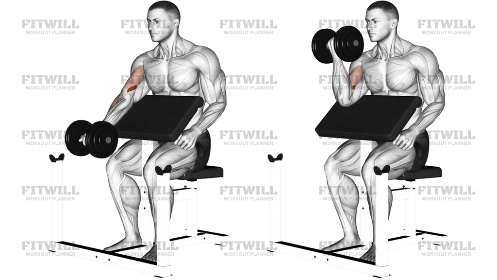 One-Arm Dumbbell Preacher Curl
