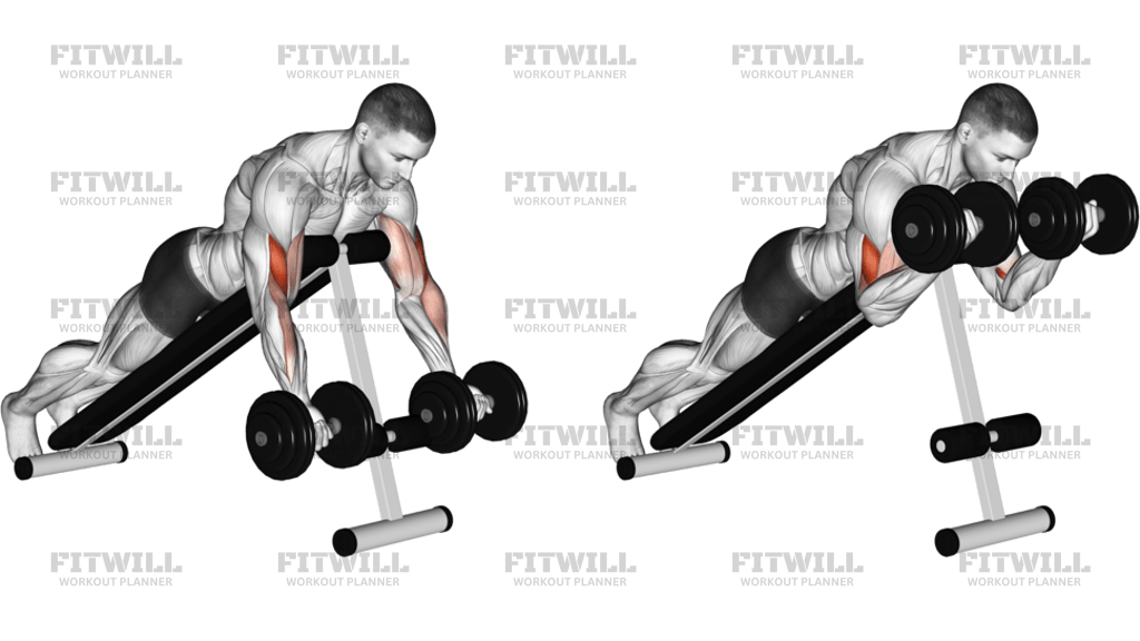 Dumbbell Prone Incline Curl