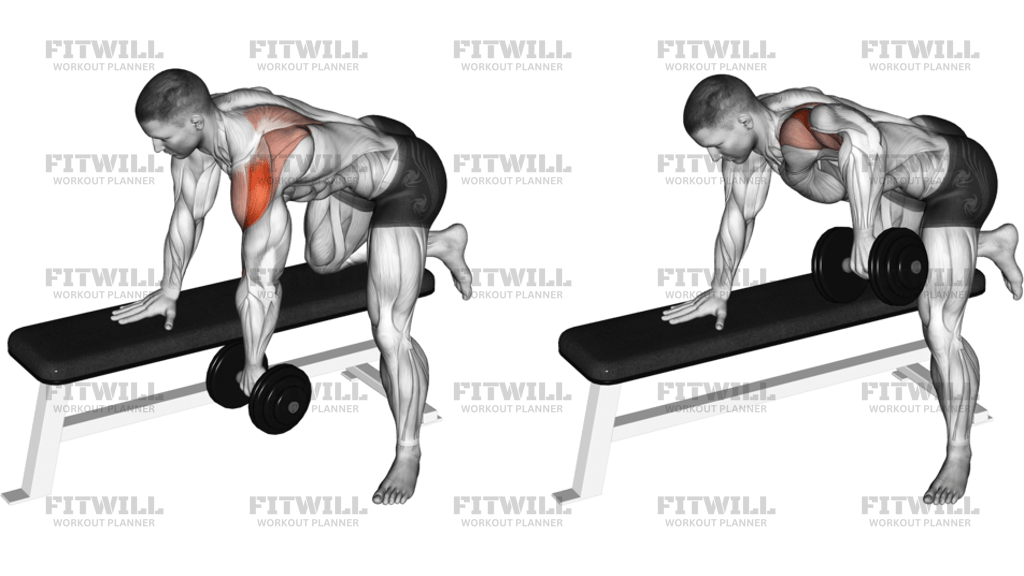 Dumbbell Rear Delt Row