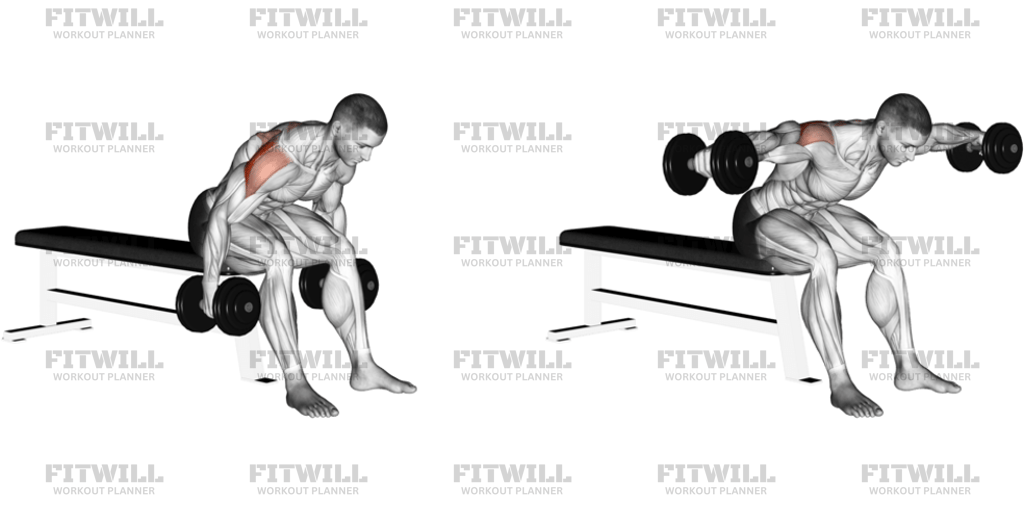 Dumbbell Rear Fly: Exercise Guide, Video, Techniques, Benefits, How to ...