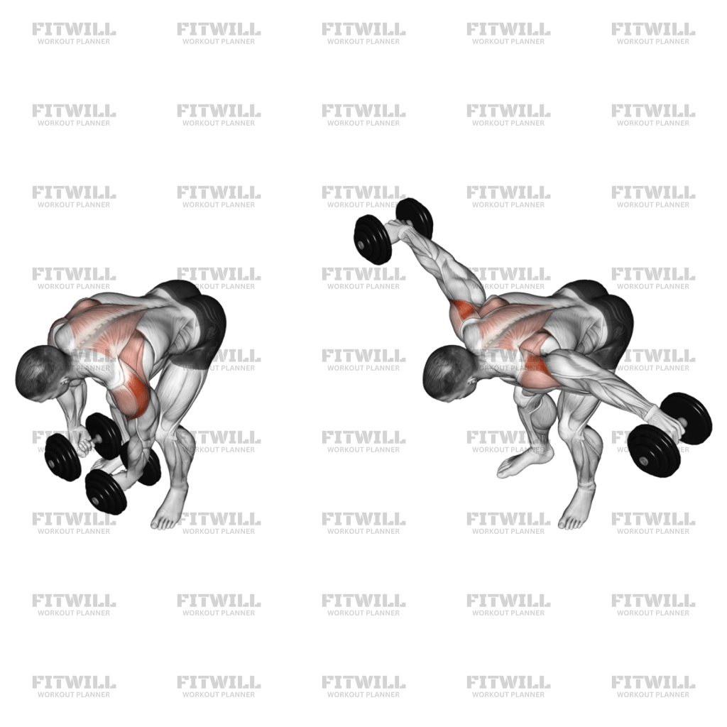 Dumbbell rear lateral raise hotsell
