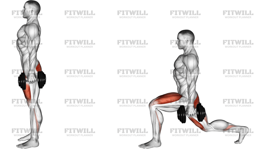 Dumbbell Rear Lunge