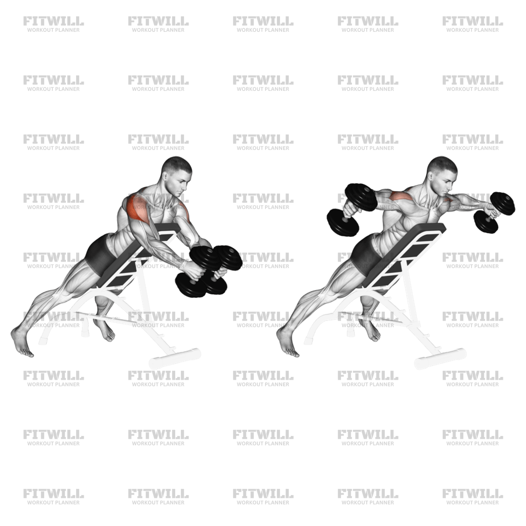 Dumbbell Reverse Fly: Exercise Guide, Video, Techniques, Benefits, How ...