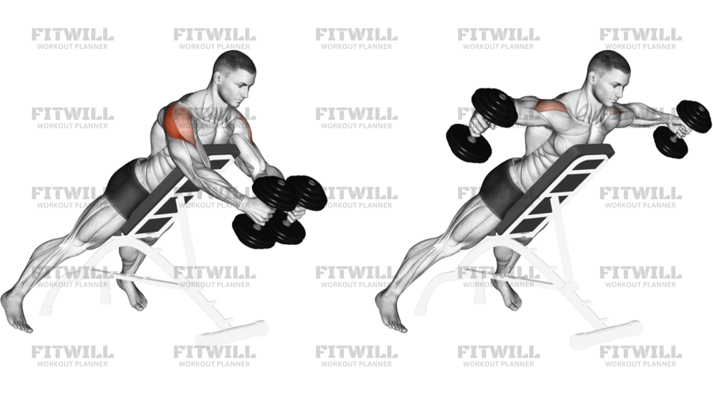 Dumbbell Reverse Fly