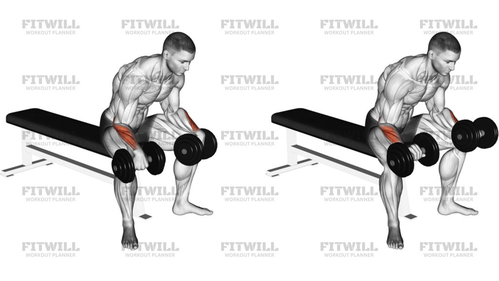 Obrácené Bicepsové Zdvihy Zápěstí S Jednoručkami