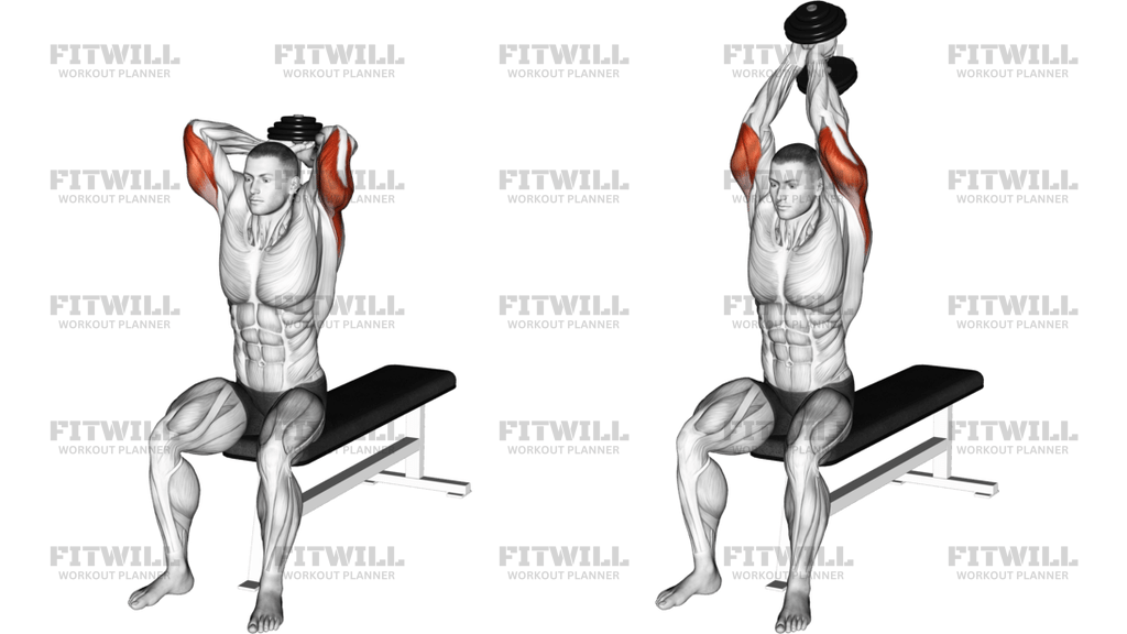 Siddende Triceps-extension Med Håndvægt