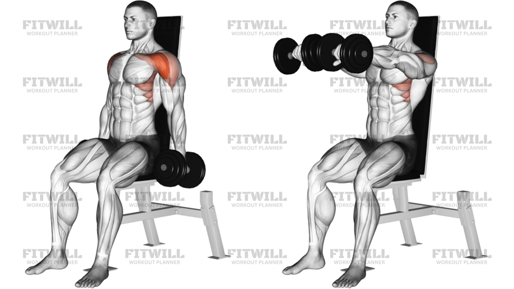 Dumbbell Seated Front Raise