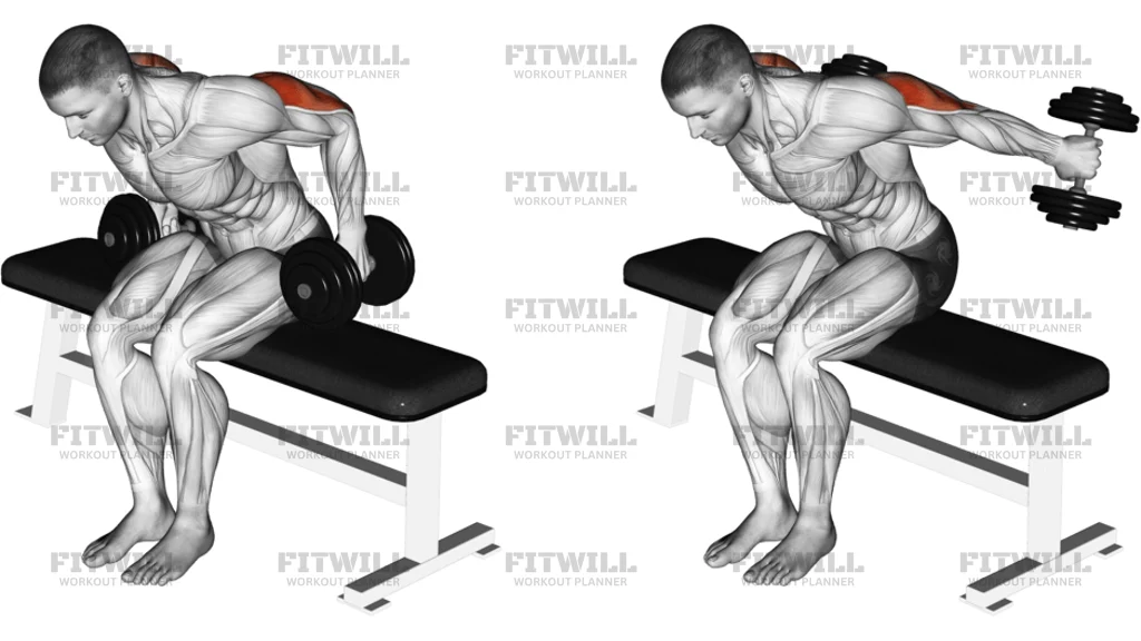 Dumbbell Seated Kickback