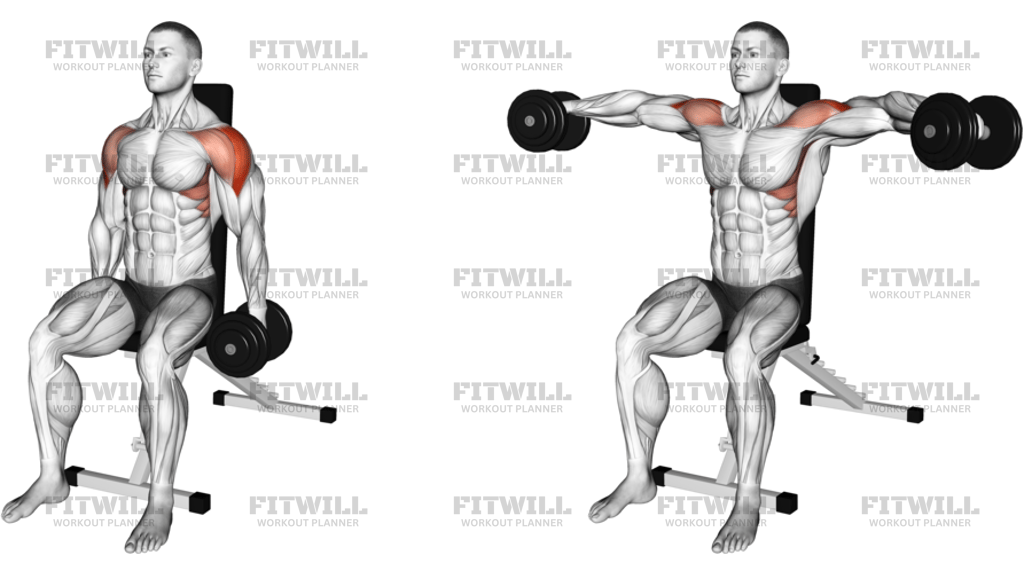 Dumbbell Seated Lateral Raise Version 2