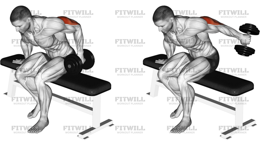 Dumbbell Seated One-Arm Kickback