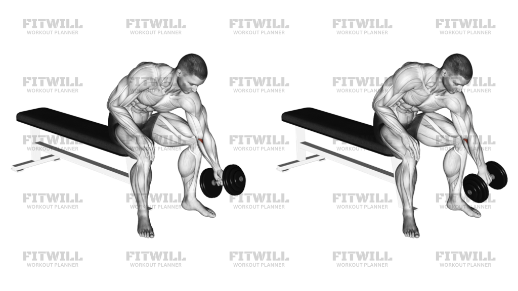Dumbbell Seated One-Arm Rotate: Exercise Guide, Techniques, Benefits ...