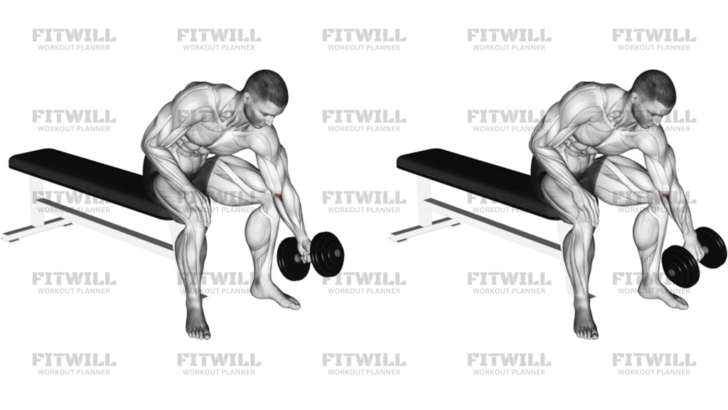 Dumbbell Seated One-Arm Rotate